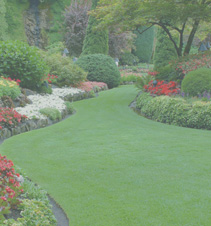 项目管理软件的ip攻击器网页版